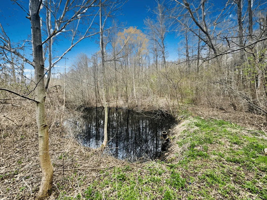 Waldteich auf dem Grundstück