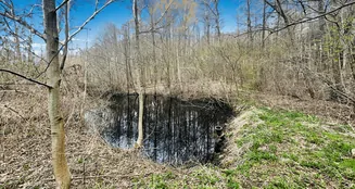 von_poll_real_estate_property_25382012_image_6