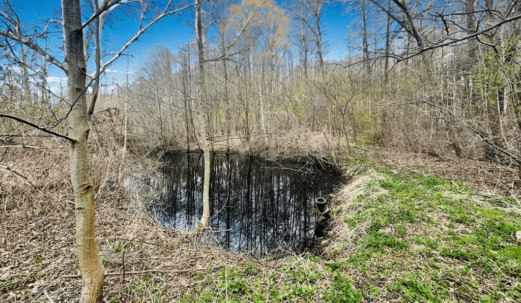 Waldteich auf dem Grundstück