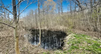 von_poll_real_estate_property_25382012_image_6