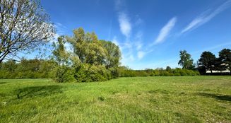 von_poll_real_estate_property_25382026_image_25