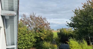 von_poll_real_estate_property_25382029_image_27