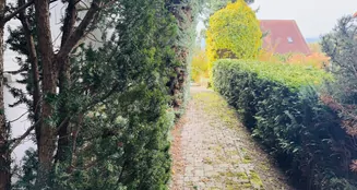 von_poll_real_estate_property_25382029_image_23