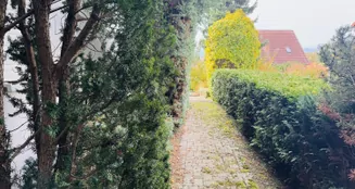 von_poll_real_estate_property_25382029_image_23