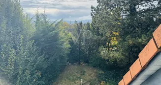 von_poll_real_estate_property_25382029_image_28