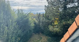 von_poll_real_estate_property_25382029_image_28