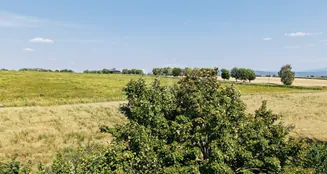 von_poll_real_estate_property_25382029_image_29