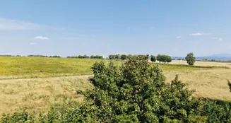 von_poll_real_estate_property_25382029_image_29