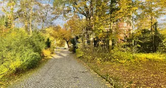 von_poll_real_estate_property_25382036_image_16