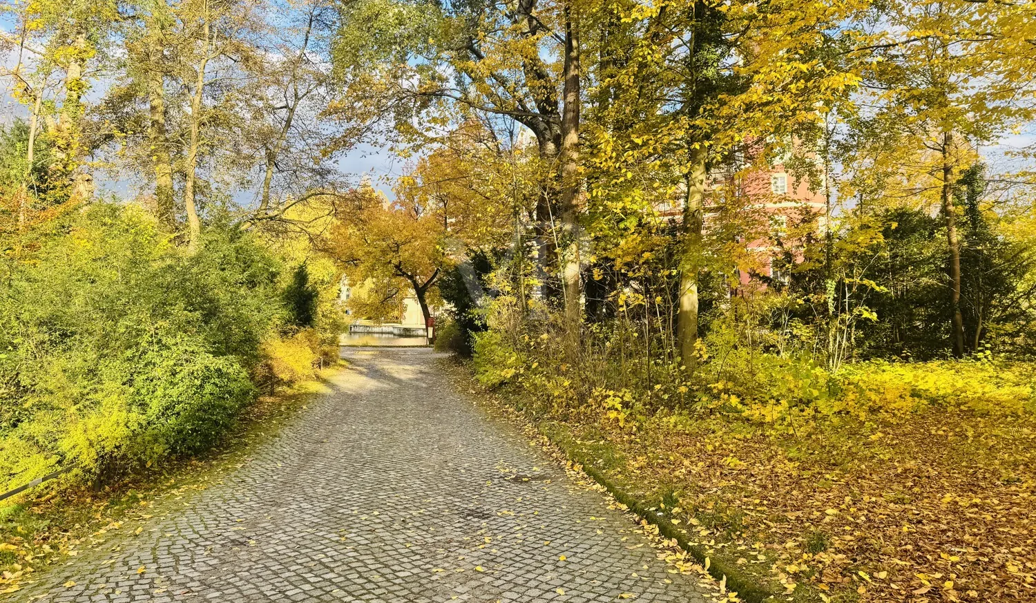 Weg zum Park