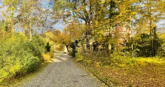 von_poll_real_estate_property_25382036_image_16