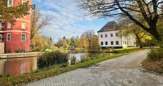 von_poll_real_estate_property_25382036_image_17