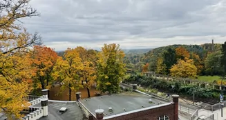 von_poll_real_estate_property_25382034_image_14