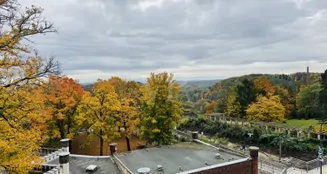 von_poll_real_estate_property_25382034_image_14