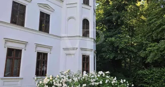 von_poll_real_estate_property_26382001_image_22