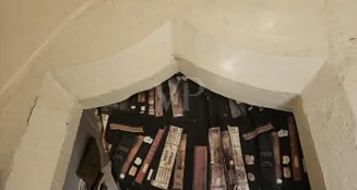 von_poll_real_estate_property_26382002_image_7