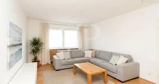 von_poll_real_estate_property_25149043_image_10