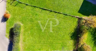 von_poll_real_estate_property_25149045_image_2