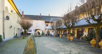 von_poll_real_estate_property_25149050_image_3