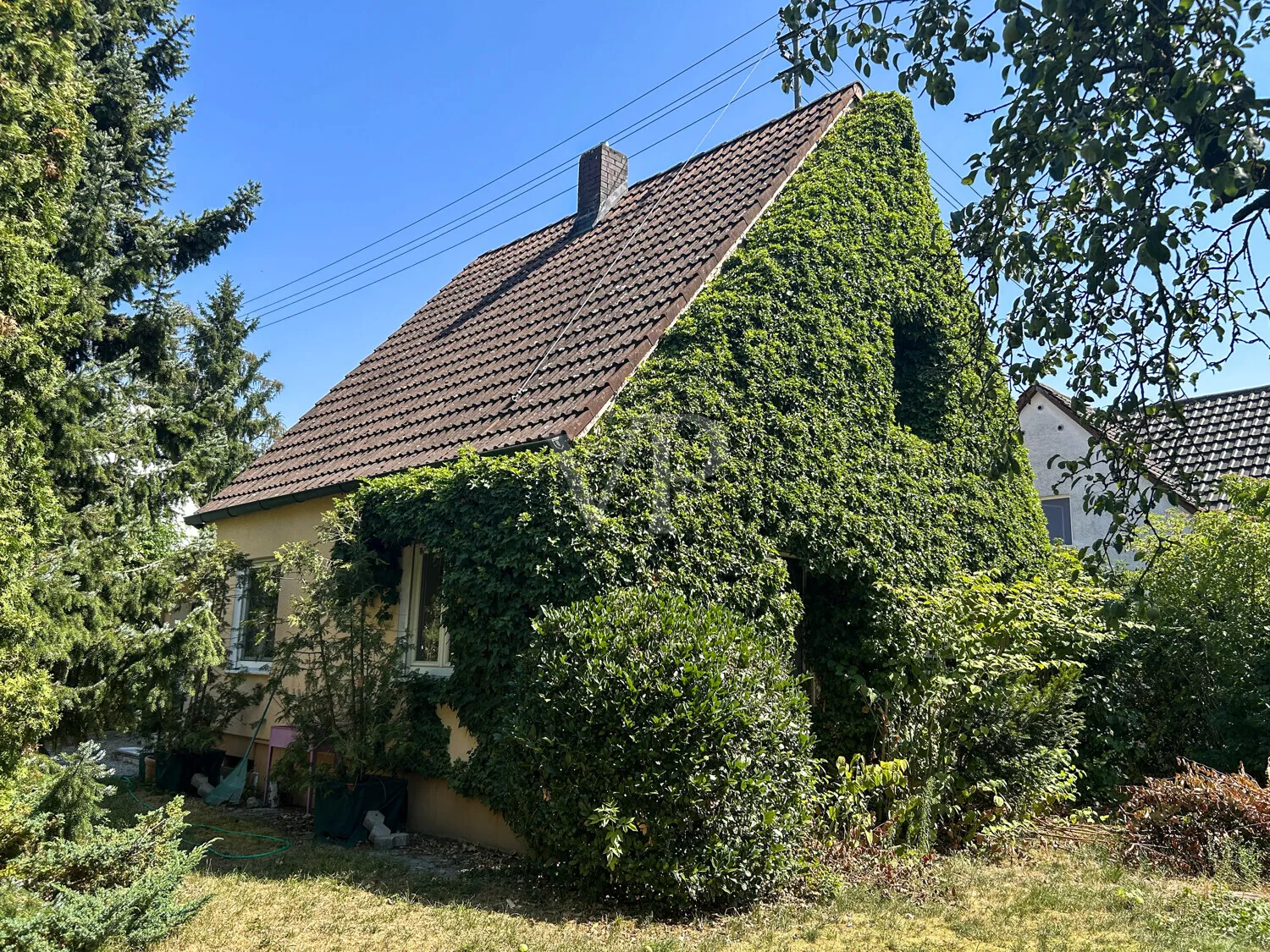 Seitenansicht