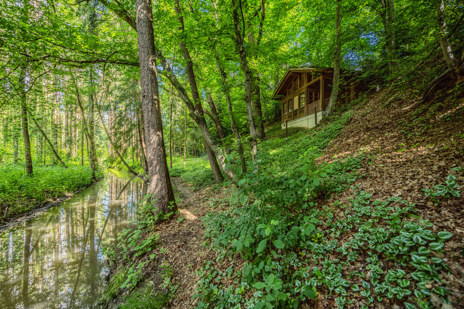 Wald-Chalet am Bachlauf