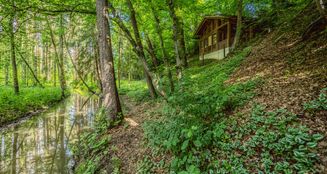 von_poll_real_estate_property_24172029_image_22