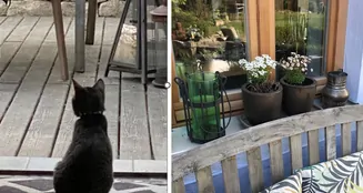 von_poll_real_estate_property_25172007_image_6