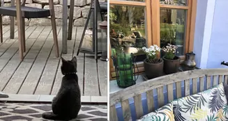 von_poll_real_estate_property_25172007_image_6