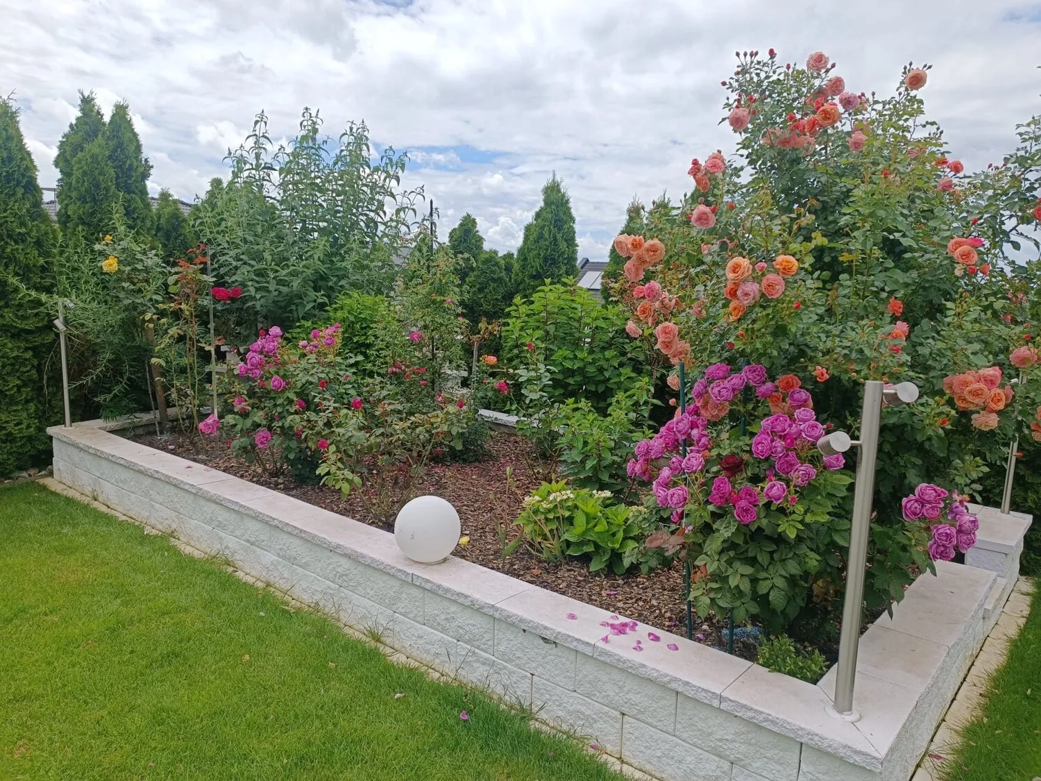 Hochbeet Rosen