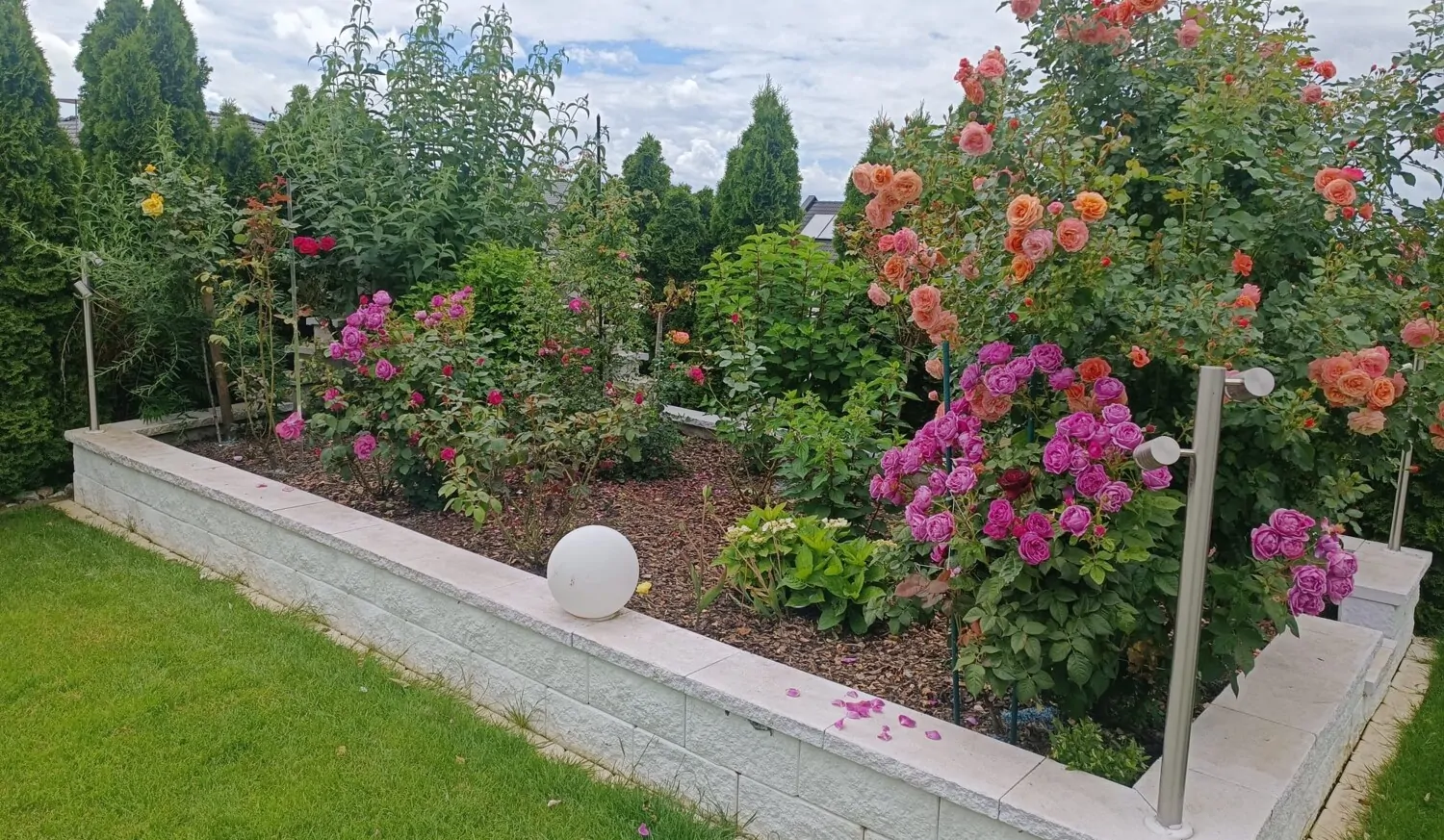 Hochbeet Rosen