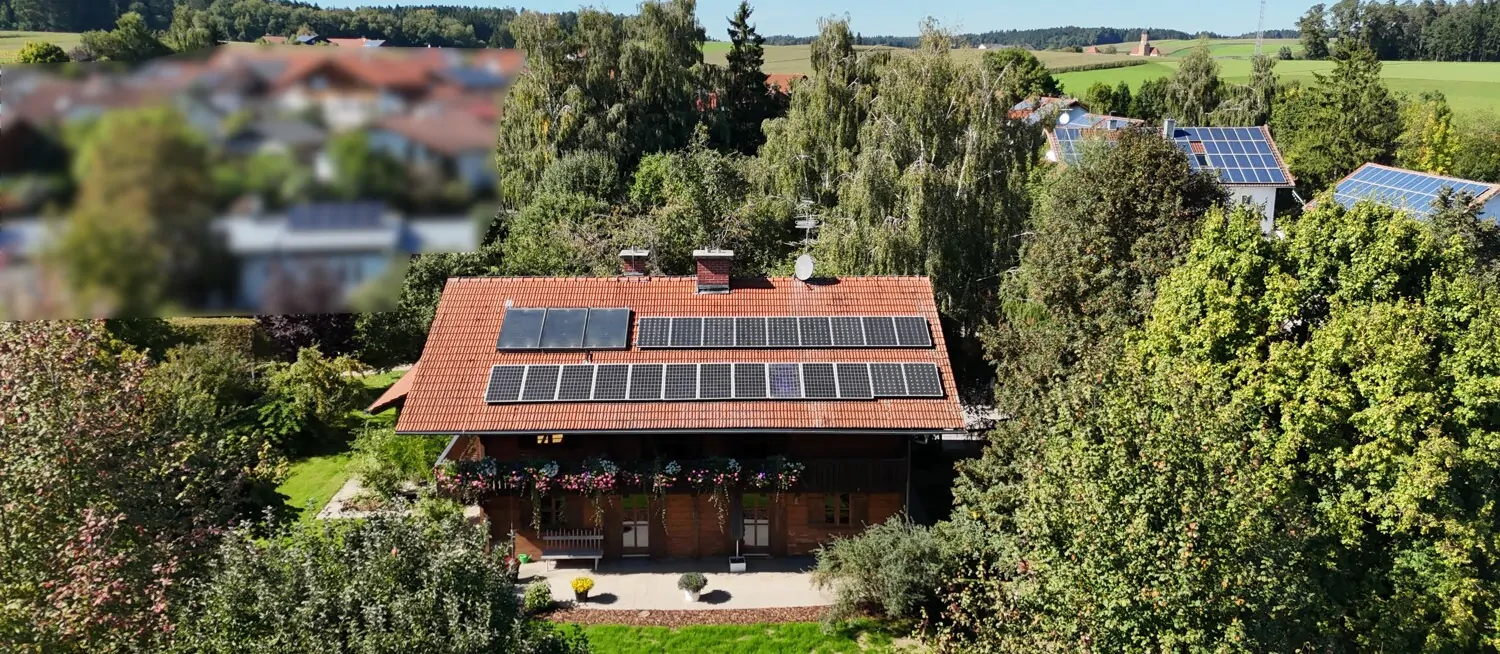 Herrliche eingewachsen