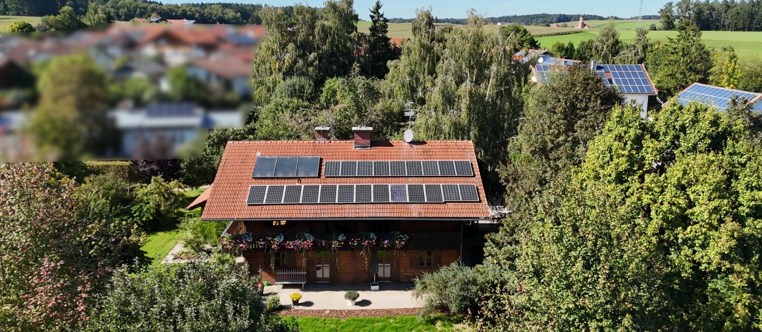 Herrliche eingewachsen