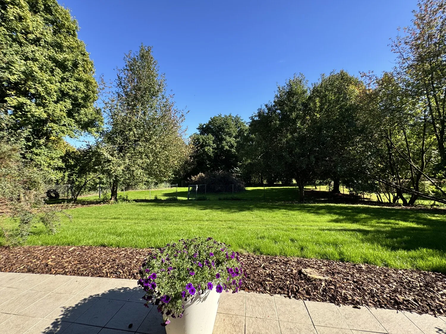 Parkähnlicher Garten