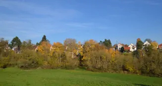 von_poll_real_estate_property_25110022_image_14