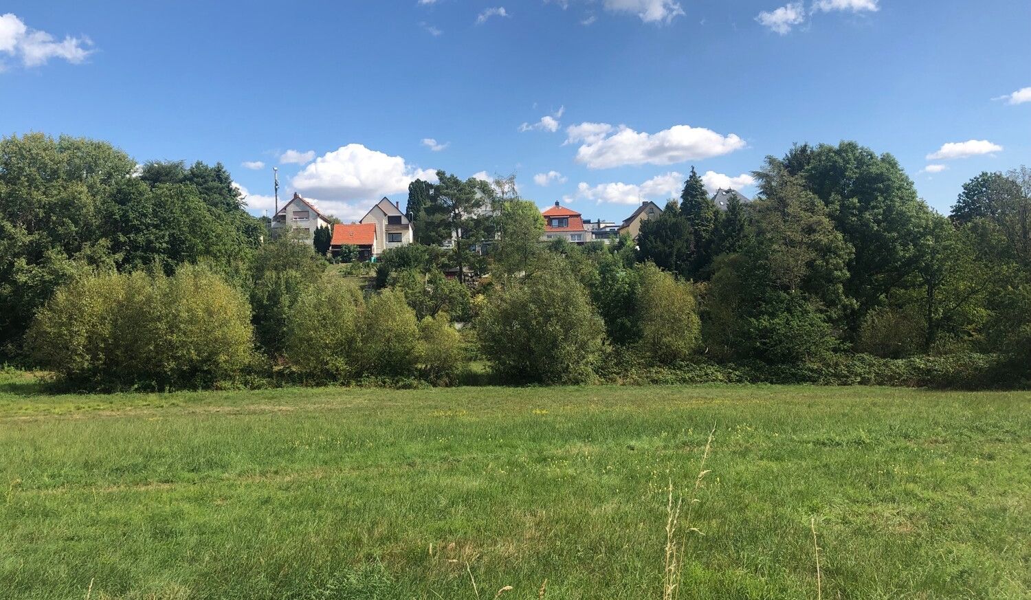 Ausblick ins Grüne
