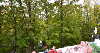 von_poll_real_estate_property_25110024_image_0