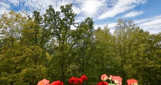 von_poll_real_estate_property_25110026_image_0