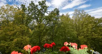 von_poll_real_estate_property_25110026_image_1