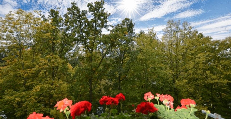 Balkon
