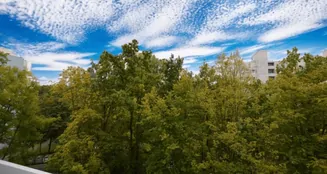 von_poll_real_estate_property_25110025_image_0