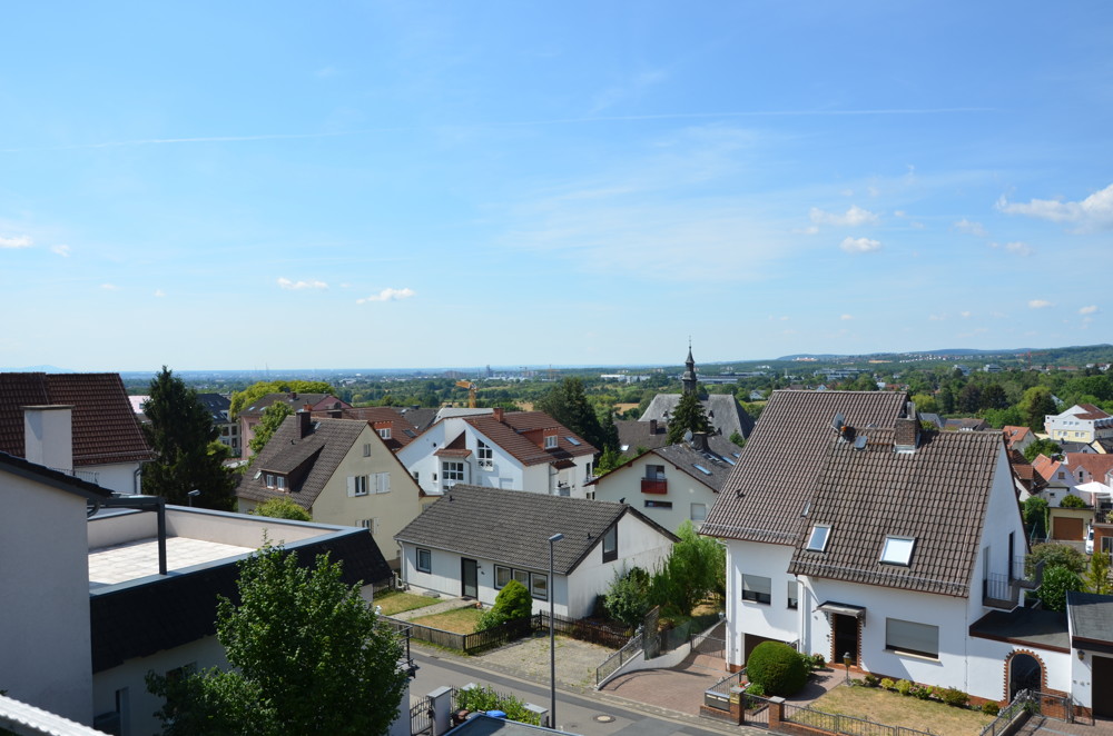 Blick 1