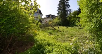 von_poll_real_estate_property_24110008_image_3