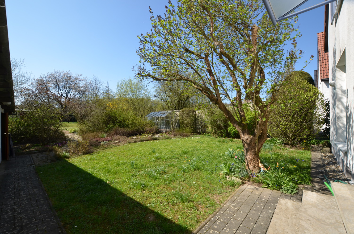 Garten 1
