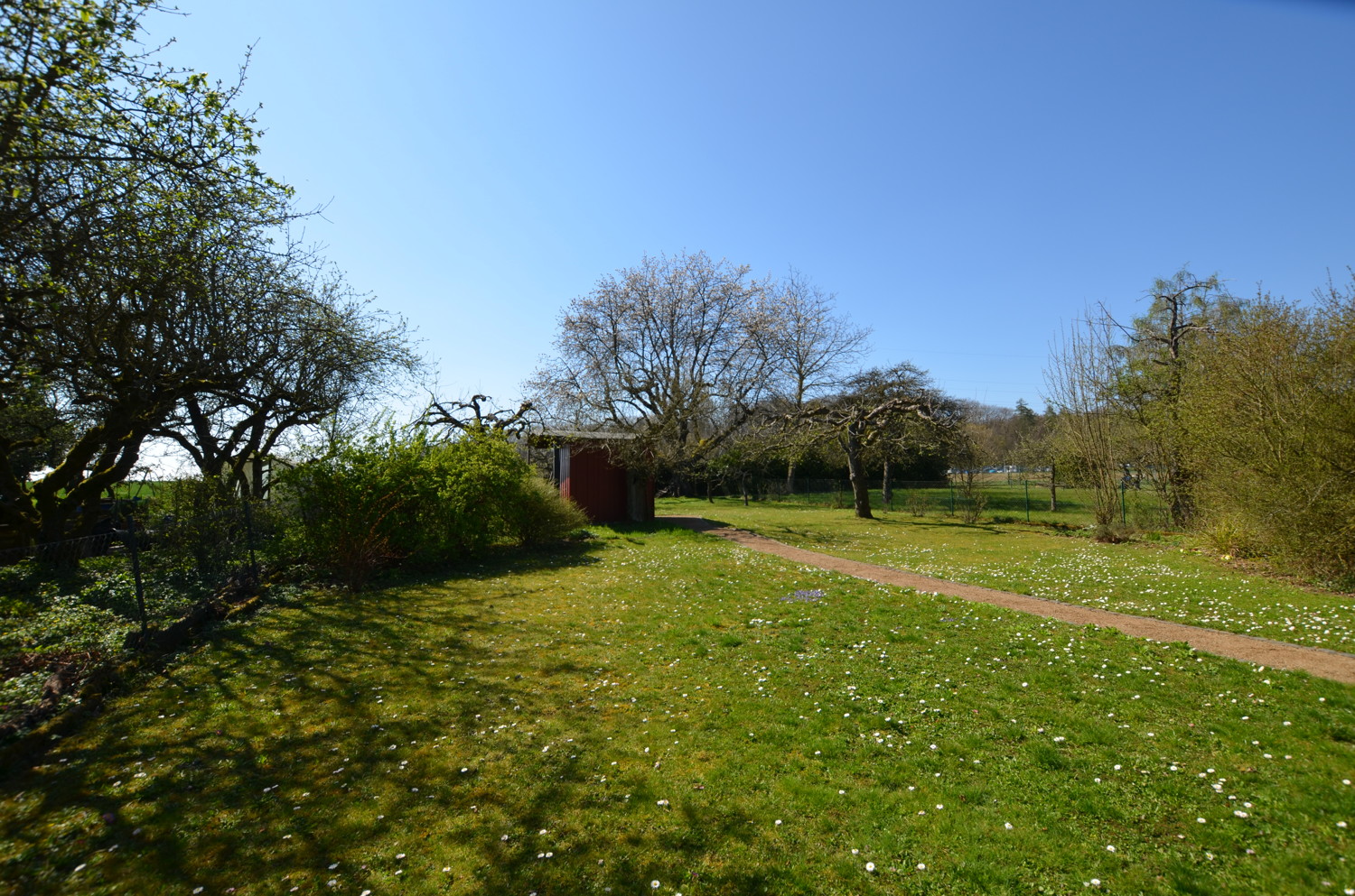 Garten 2