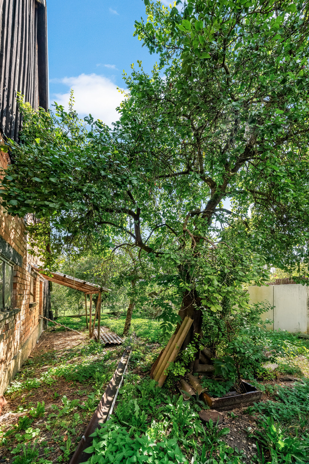 Gartenteil neben Ökonomiegebäude Hinterhof