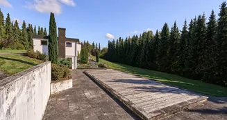 von_poll_real_estate_property_25259009_image_5