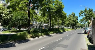 von_poll_real_estate_property_24463005W_image_4