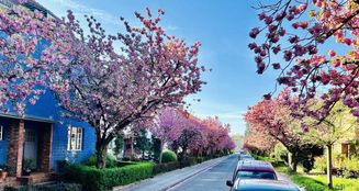 von_poll_real_estate_property_25104004_image_0