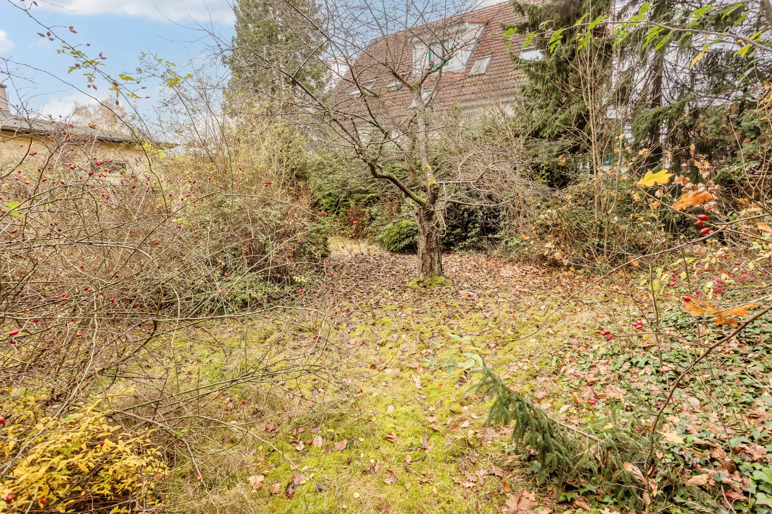 Gartenansicht