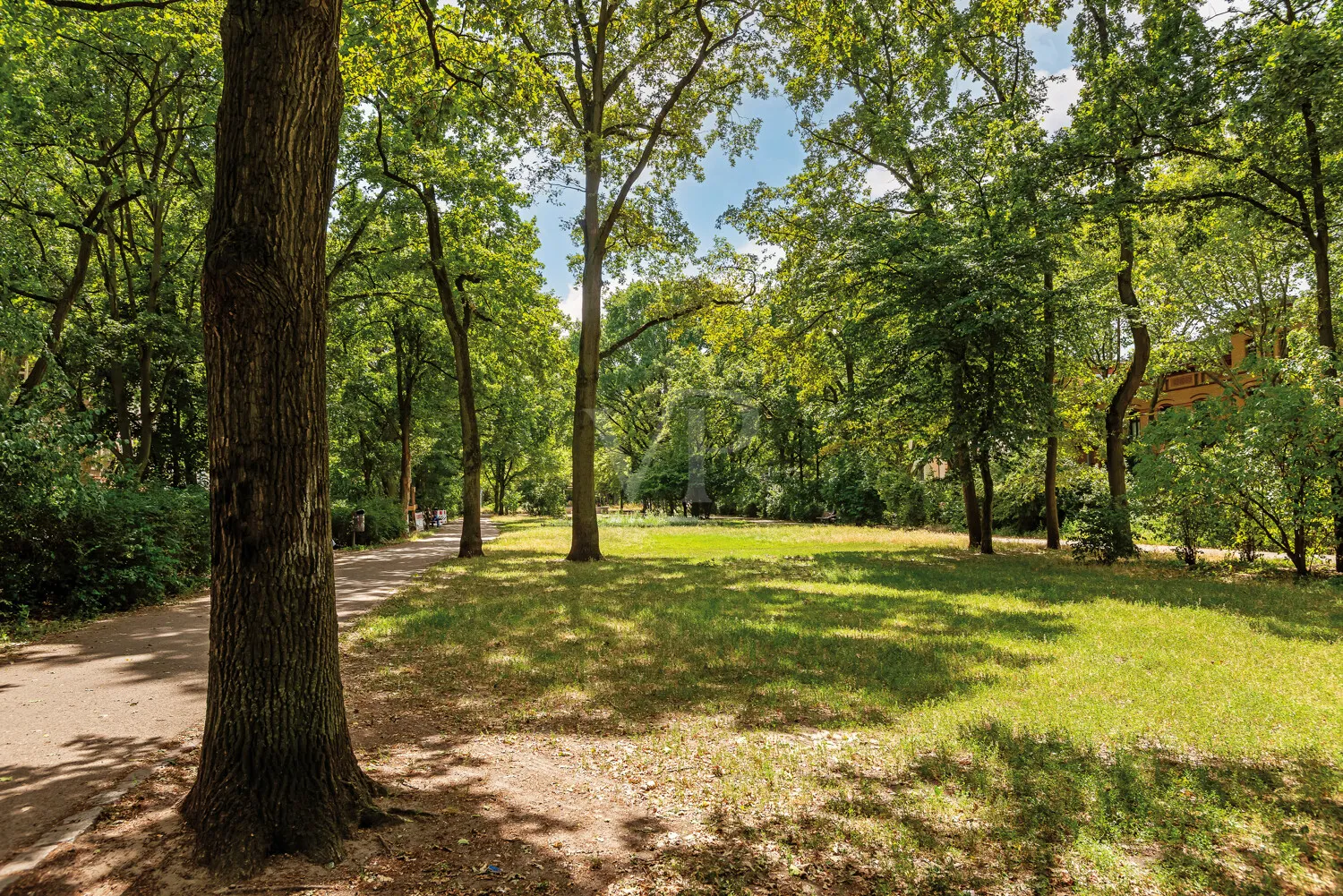 Grünanlage vor der Haustür